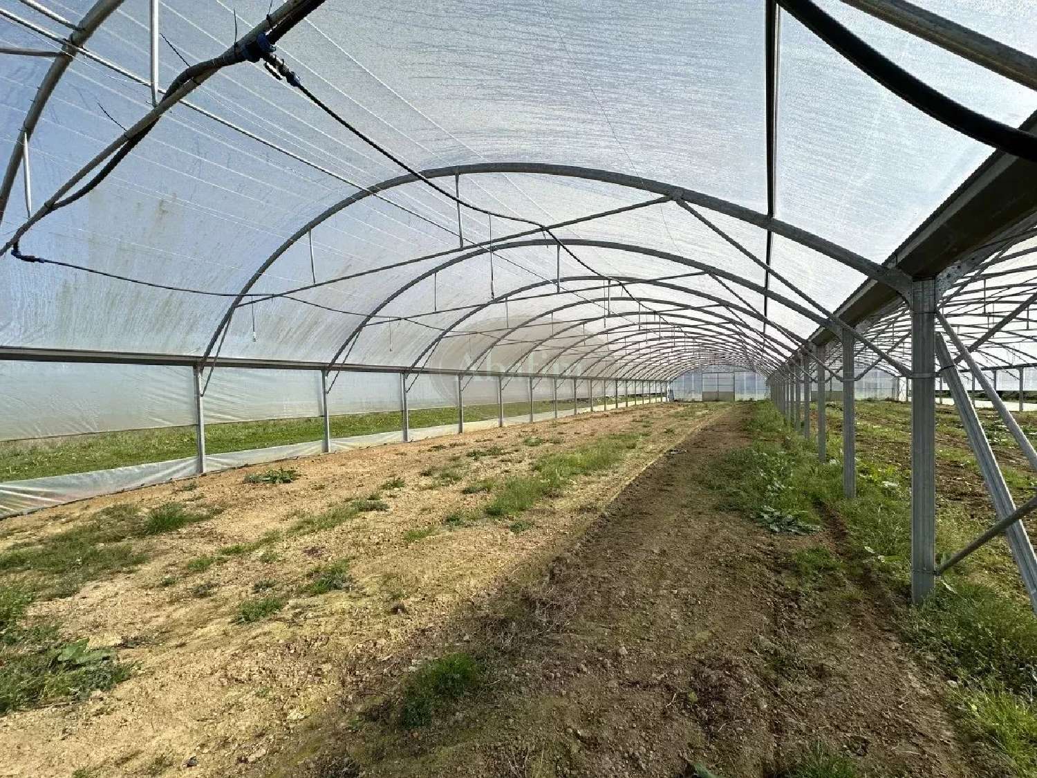  for sale house Puydarrieux Hautes-Pyrénées 8