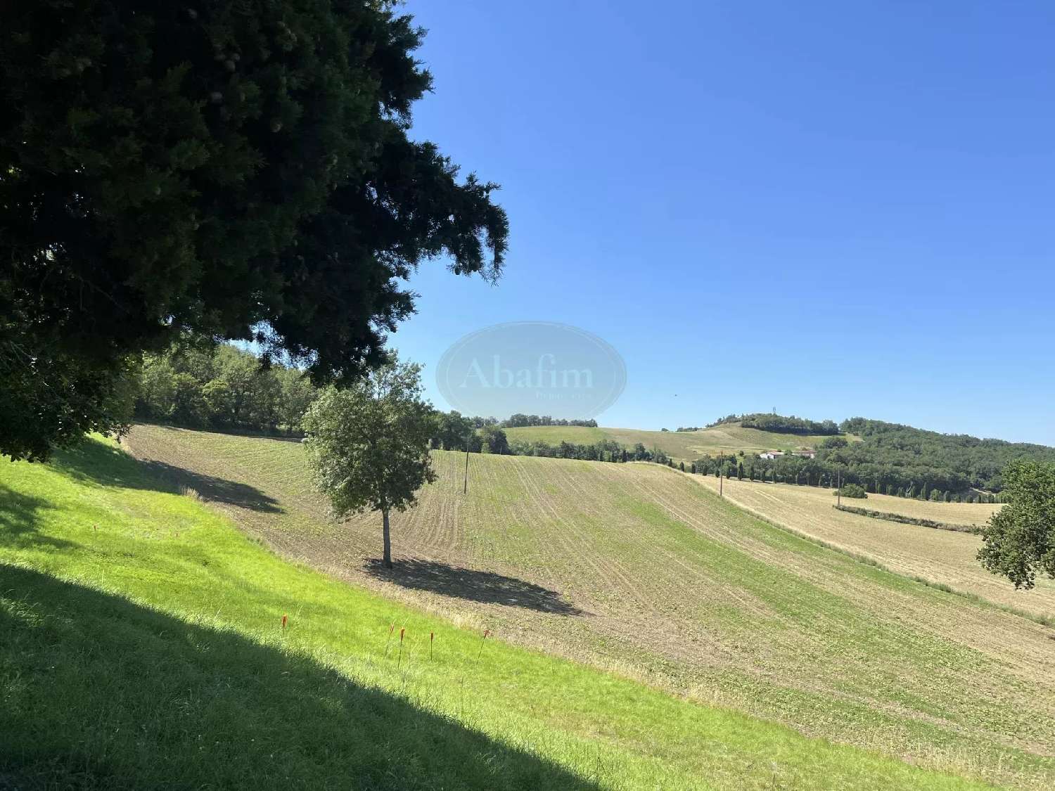  te koop huis Puylaurens Tarn 5