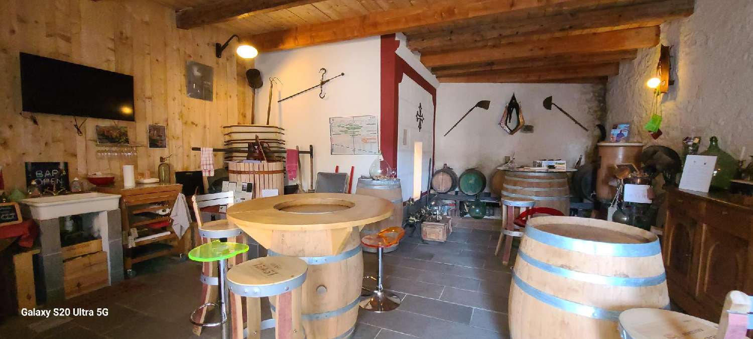 te koop huis Quarante Hérault 7