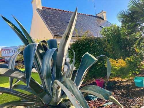 Quimper Finistère Haus Bild 7214522