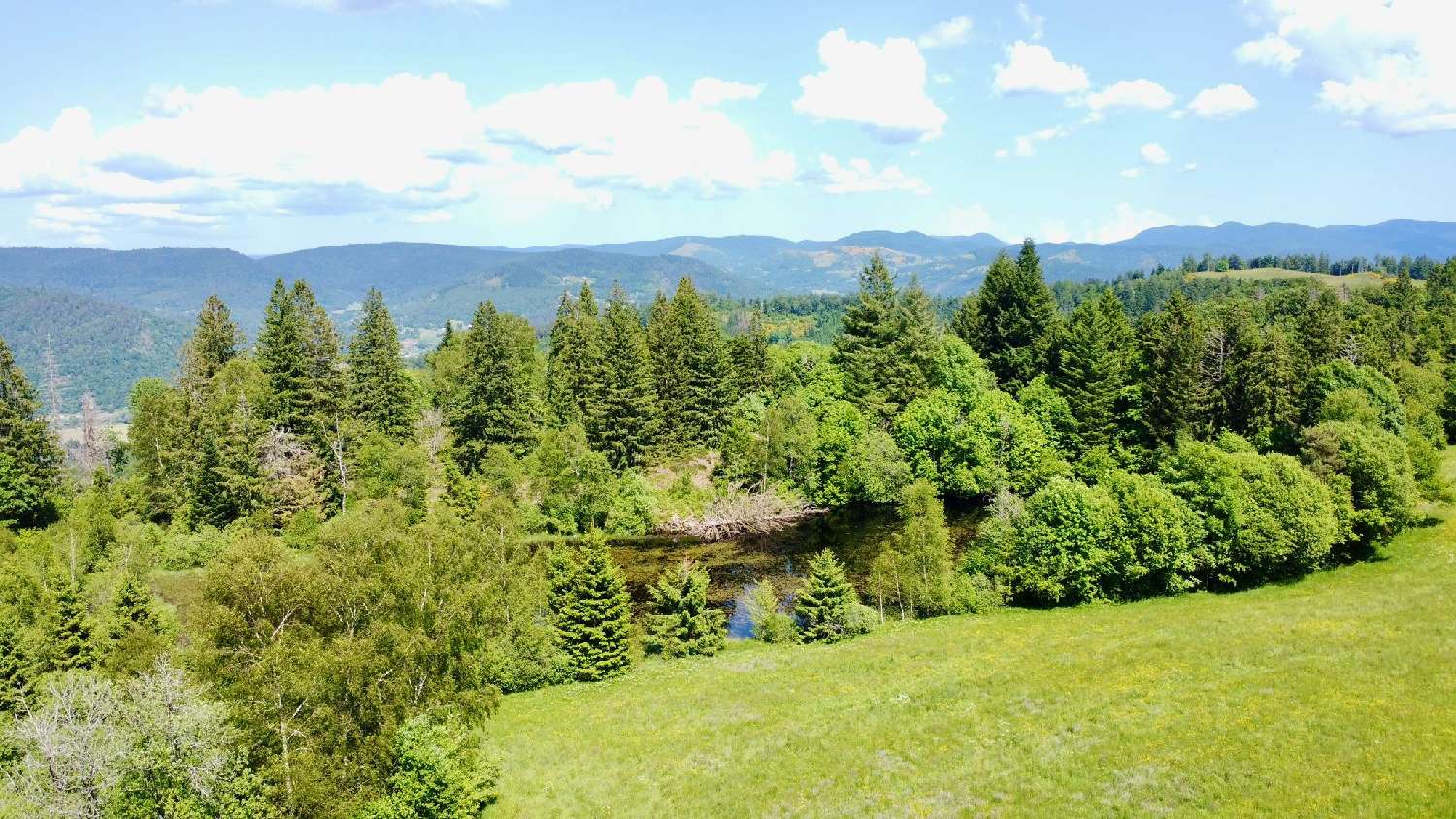  en venta casa Ramonchamp Vosgos 2