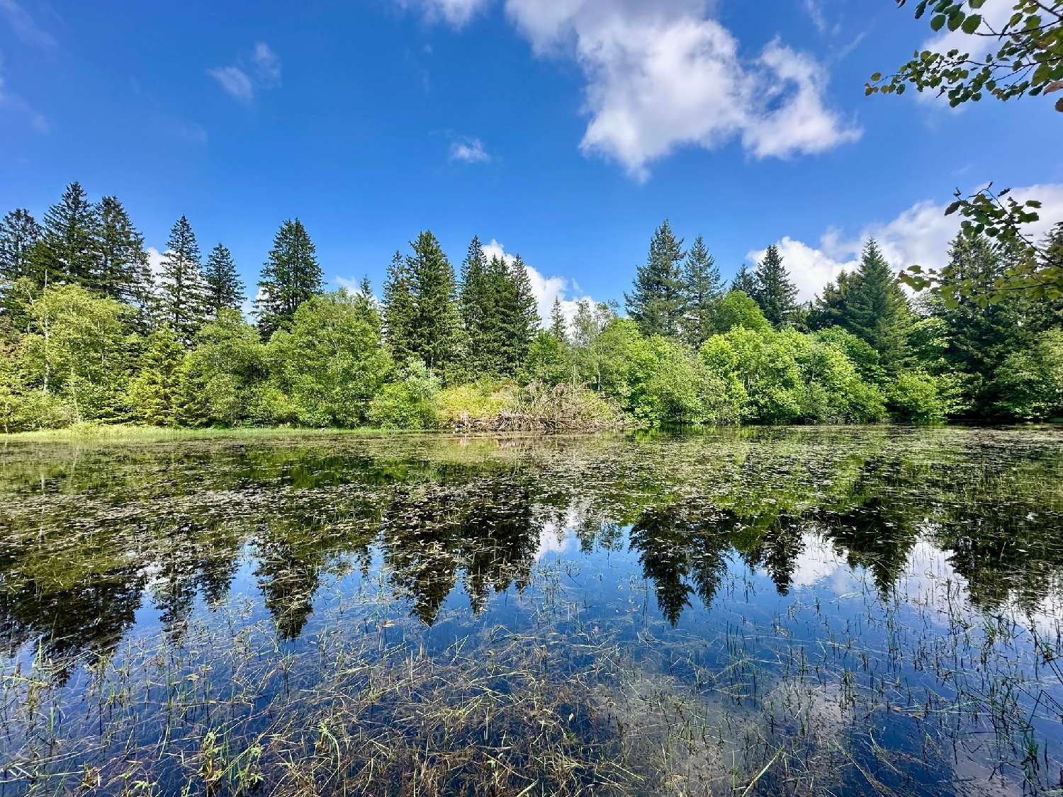  en venta casa Ramonchamp Vosgos 3