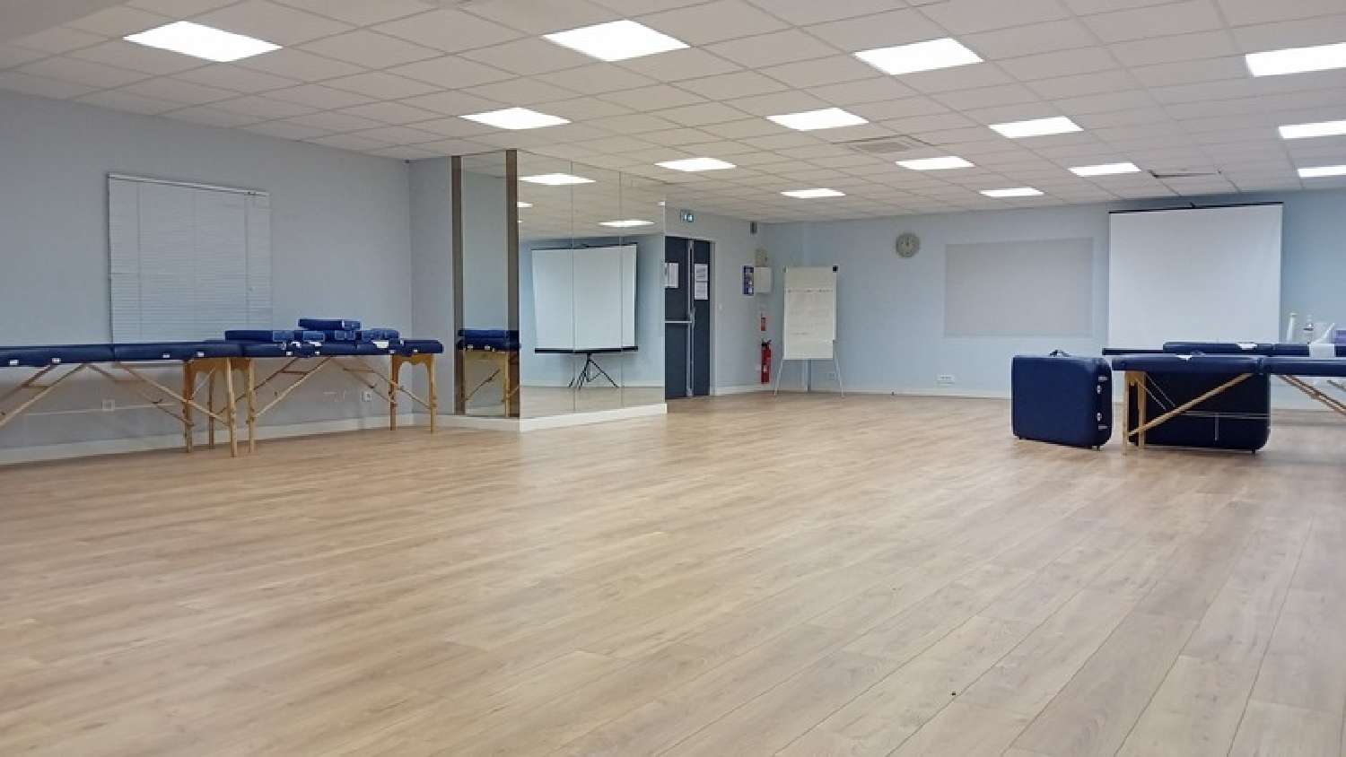  te koop huis Ramonville-Saint-Agne Haute-Garonne 1