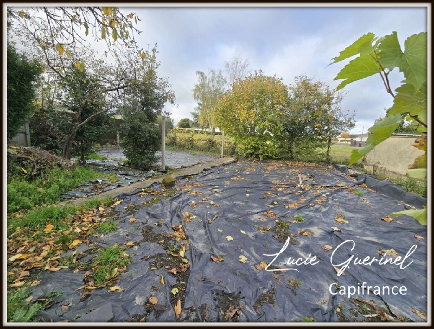  te koop huis Renazé Mayenne 5