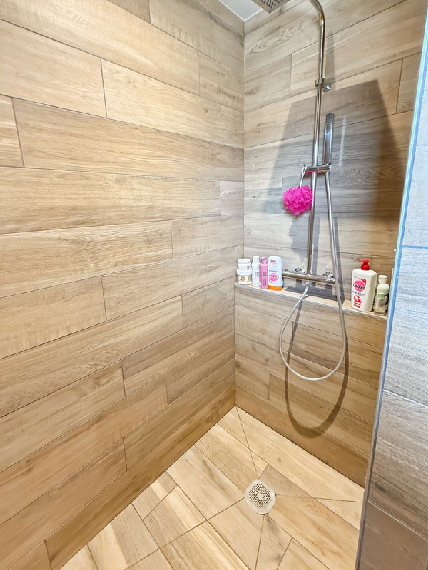  te koop huis Renung Landes 8