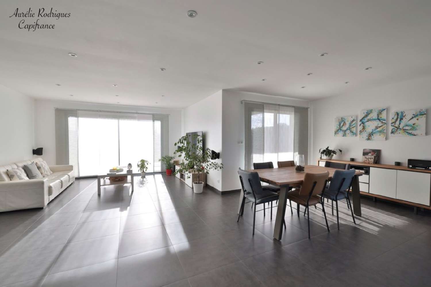  te koop huis Replonges Ain 2