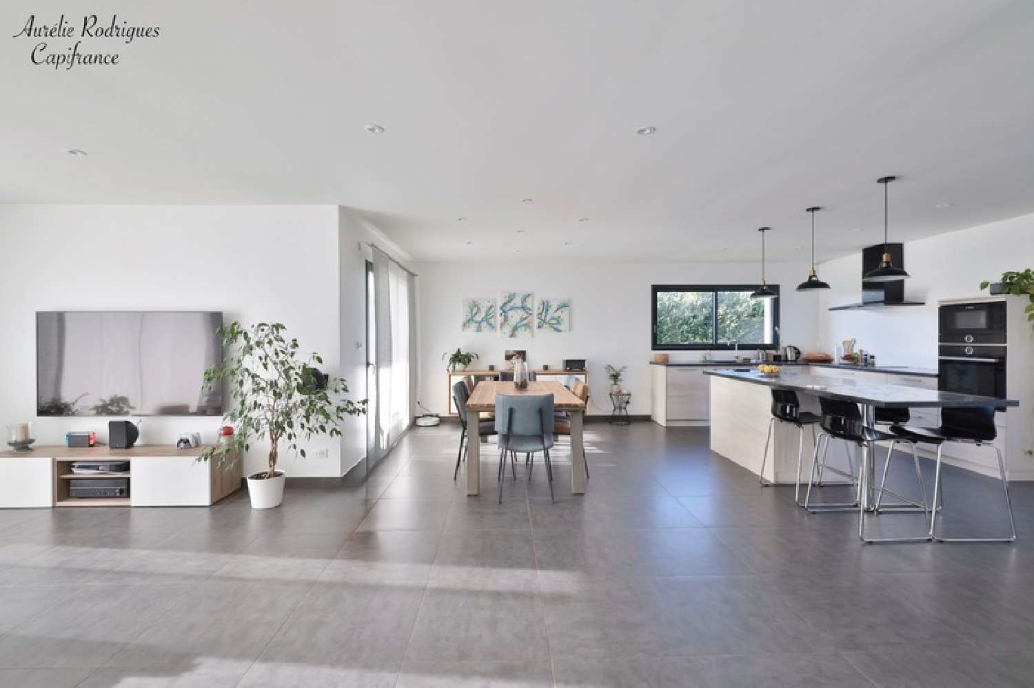  te koop huis Replonges Ain 3