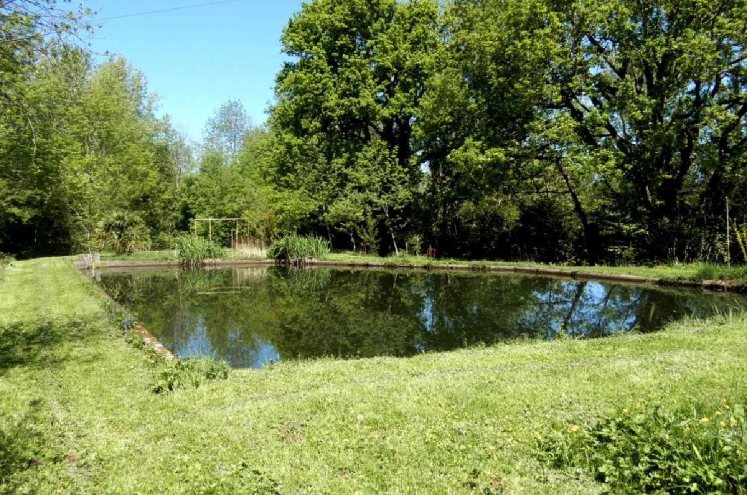  te koop huis Revel Haute-Garonne 7