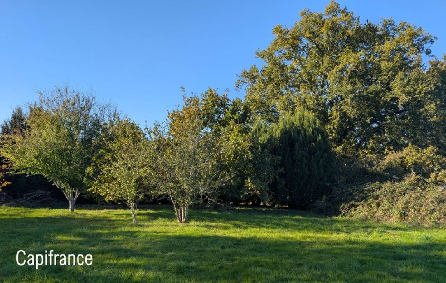  for sale house Rieux Morbihan 3