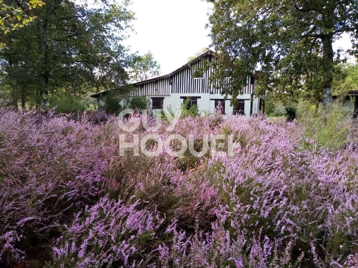 kaufen Haus Rion-des-Landes Landes 1