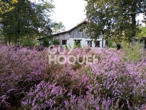 Rion-des-Landes Landes huis foto 7197613