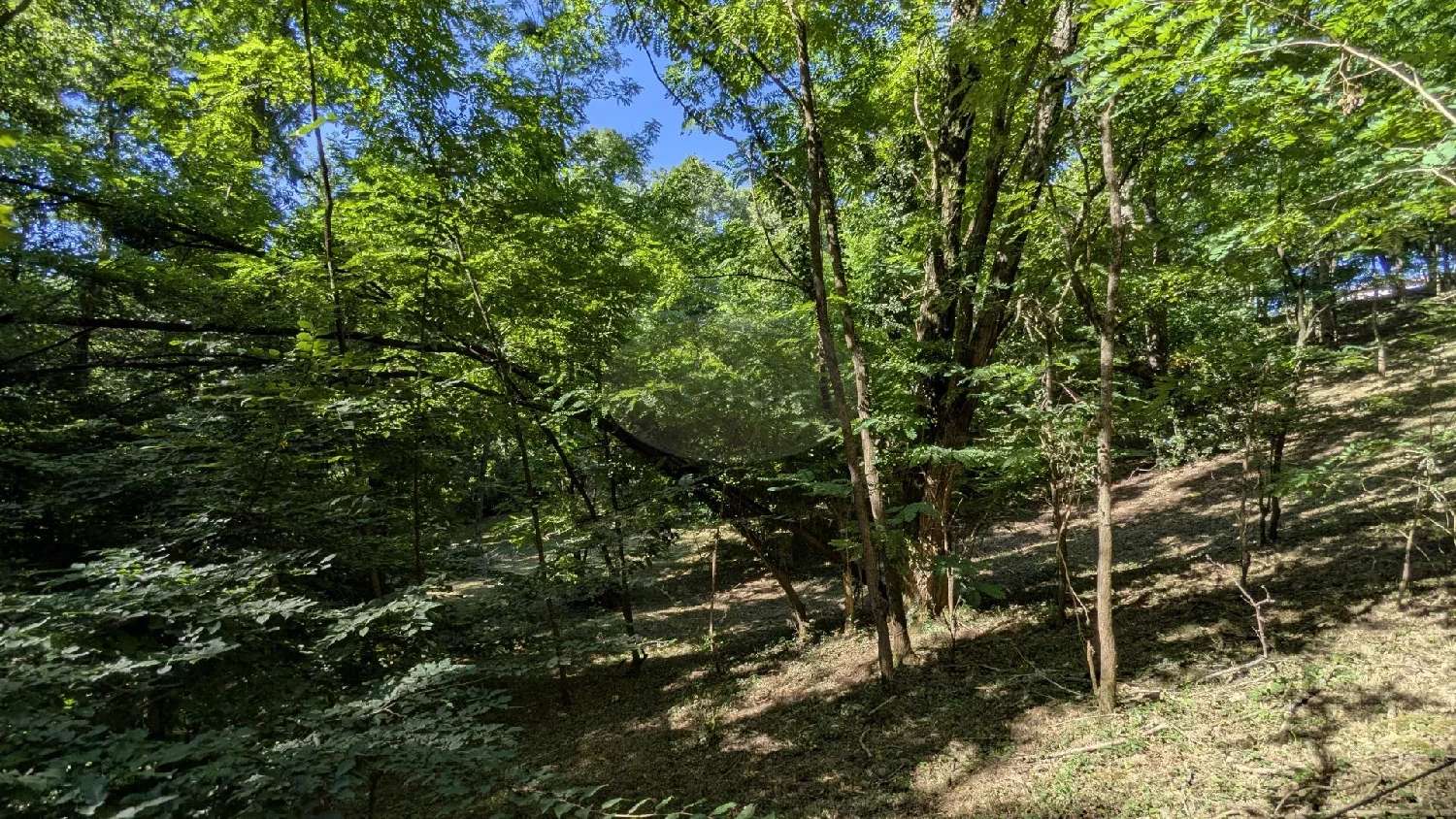  à vendre maison Riscle Gers 7