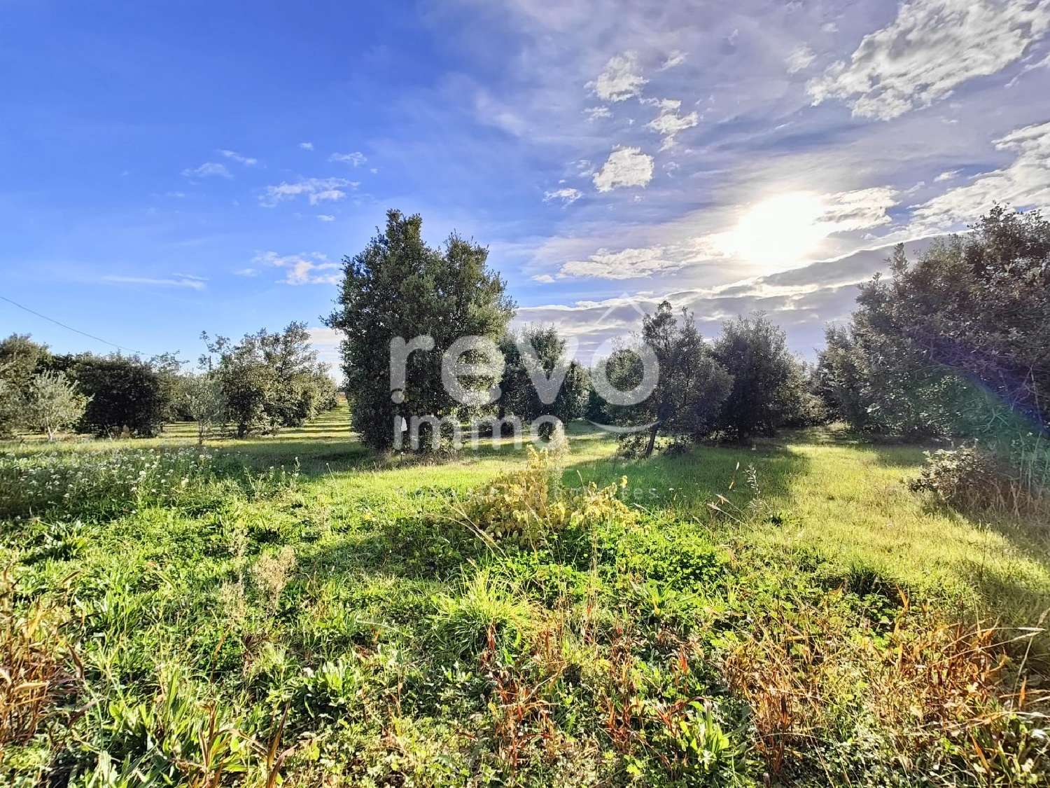  te koop huis Rochegude Drôme 5