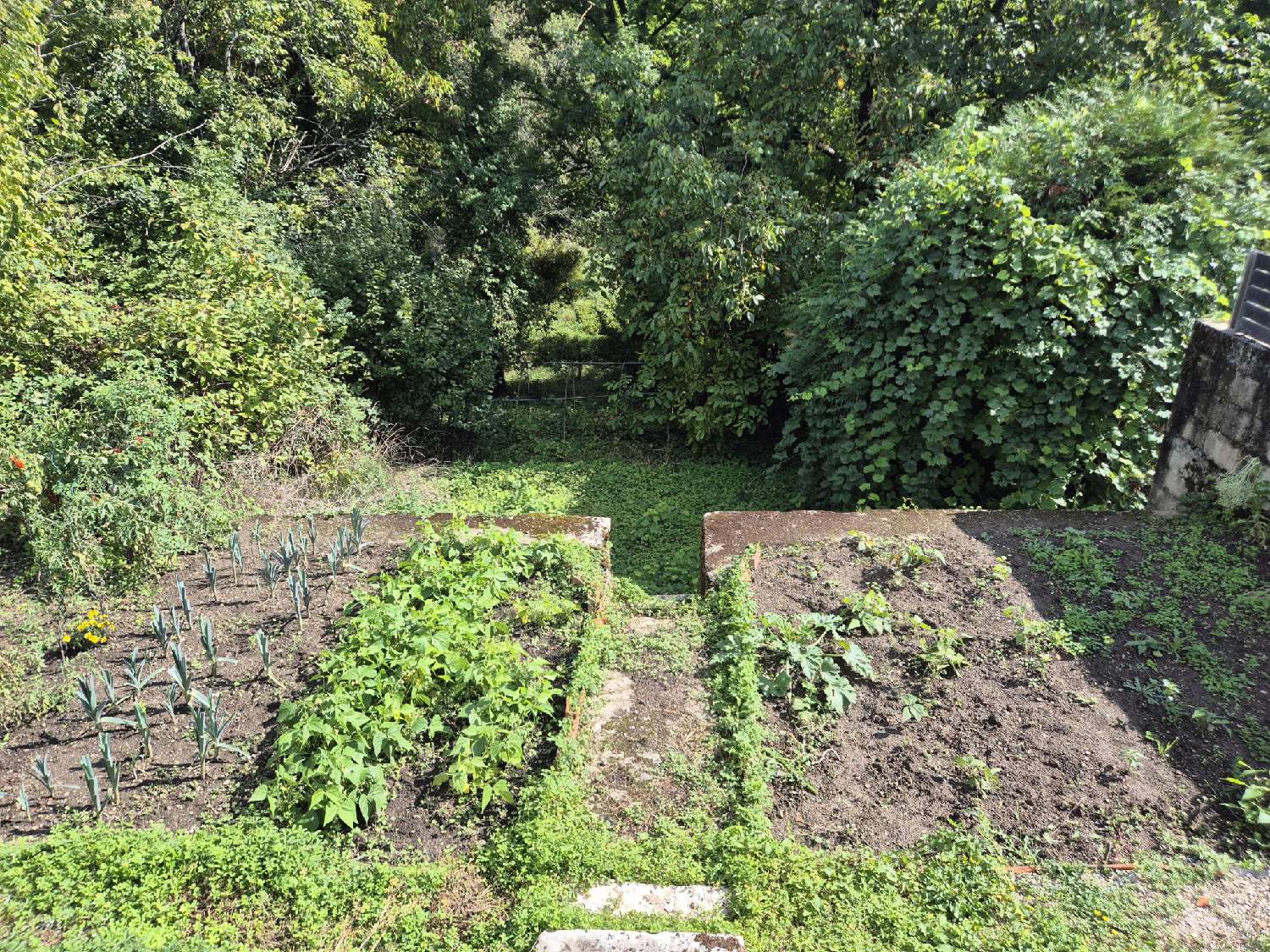 te koop huis Roches-sur-Marne Haute-Marne 7