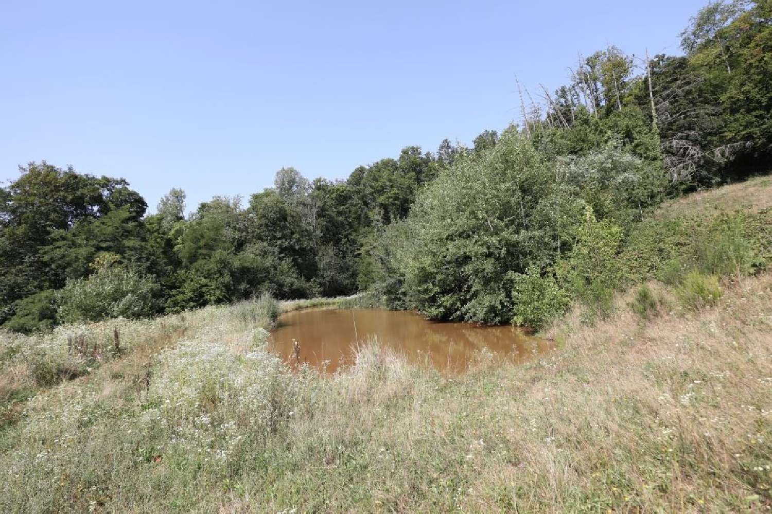  for sale house Ronchamp Haute-Saône 3