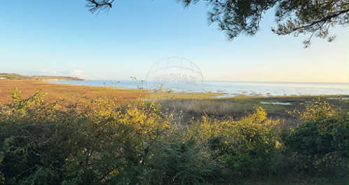 Royan Charente-Maritime house foto 7182465