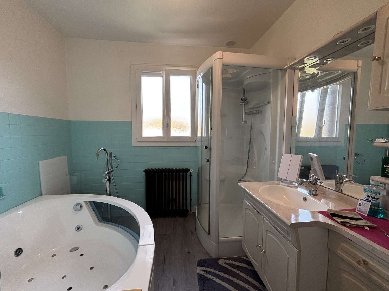 for sale house Ruffec Charente 8