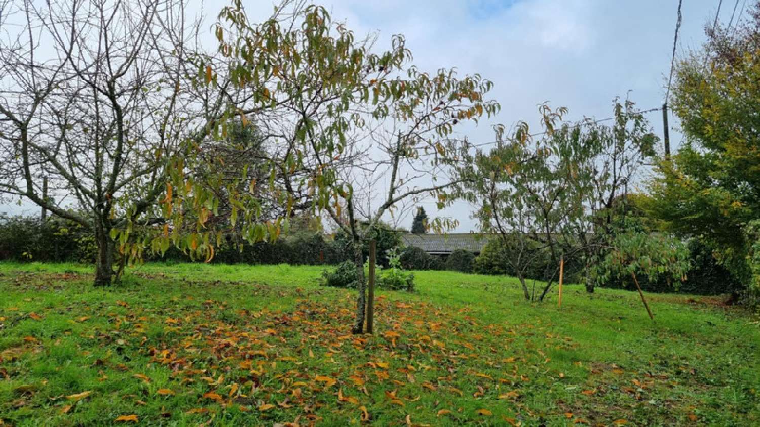 te koop huis Sadroc Corrèze 4