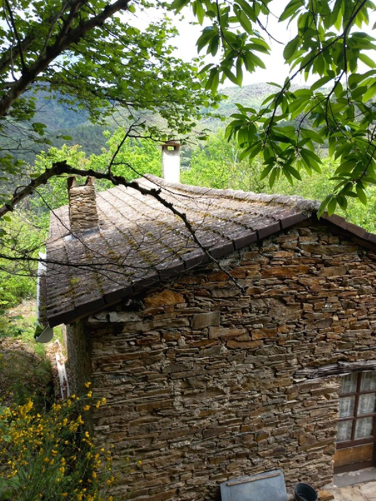 for sale house Saint-André-de-Valborgne Gard 3