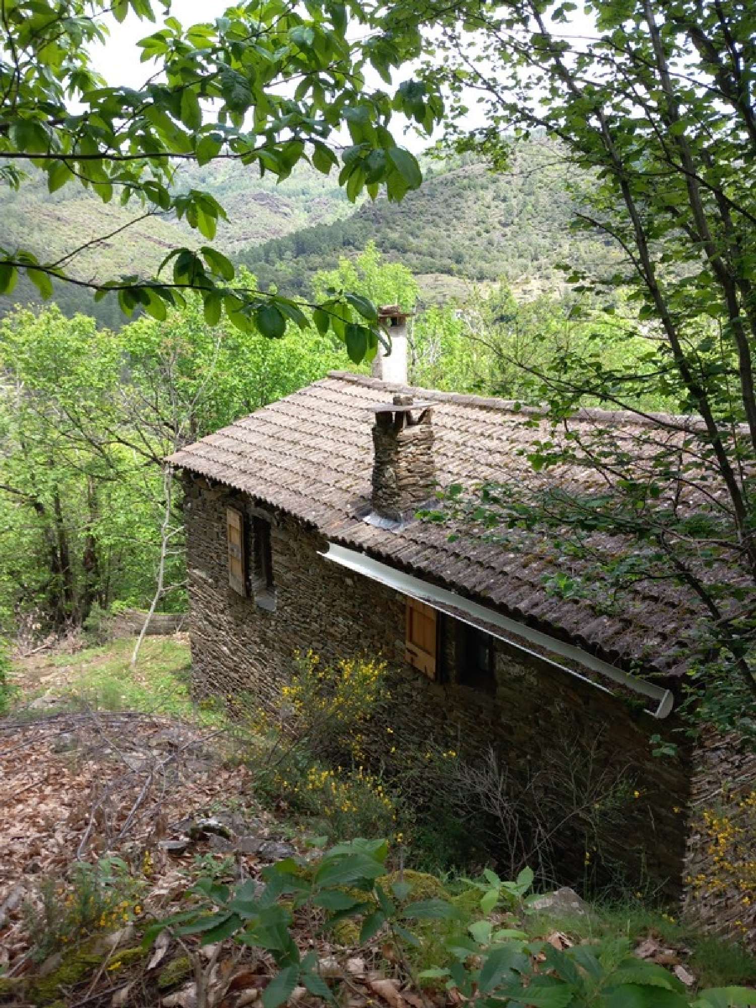 for sale house Saint-André-de-Valborgne Gard 5