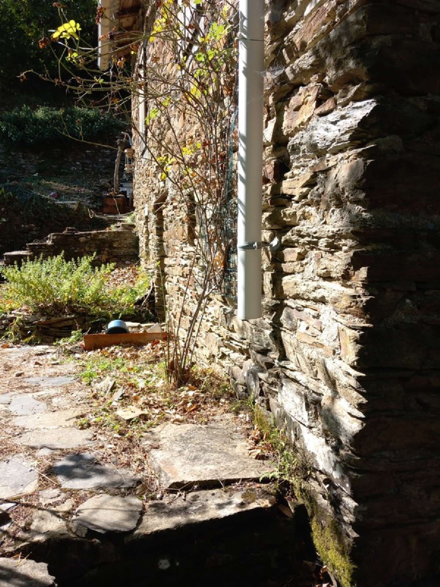 for sale house Saint-André-de-Valborgne Gard 7