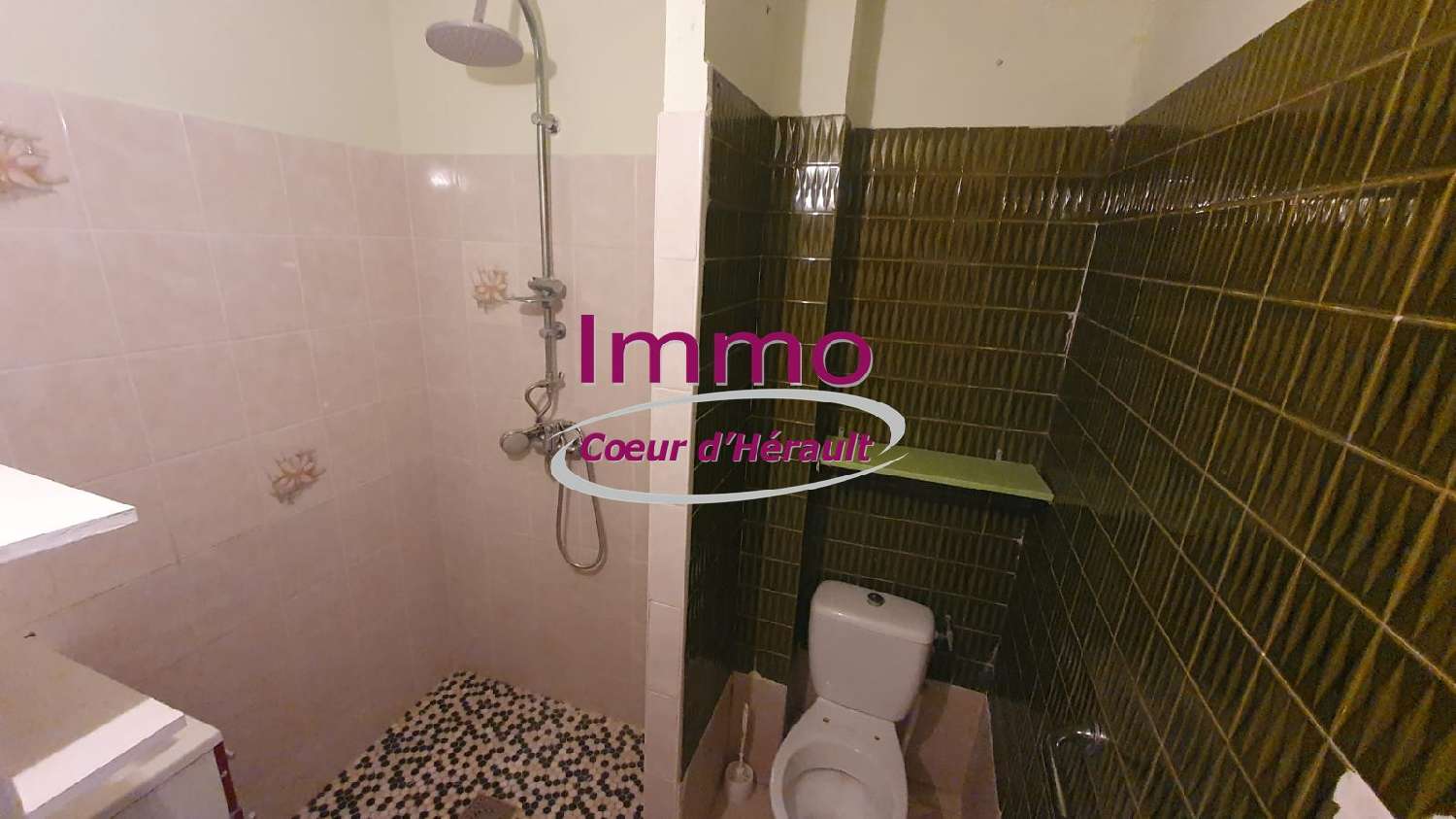  te koop huis Saint-André-de-Sangonis Hérault 7