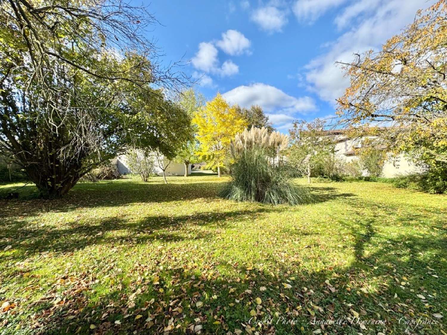  te koop huis Saint-Beauzire Puy-de-Dôme 2