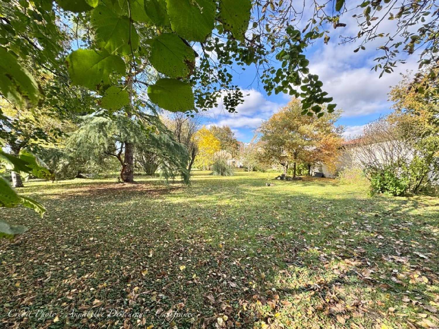  te koop huis Saint-Beauzire Puy-de-Dôme 3