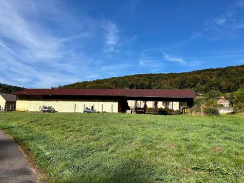 Saint-Bresson Haute-Saône Haus Bild 7181577