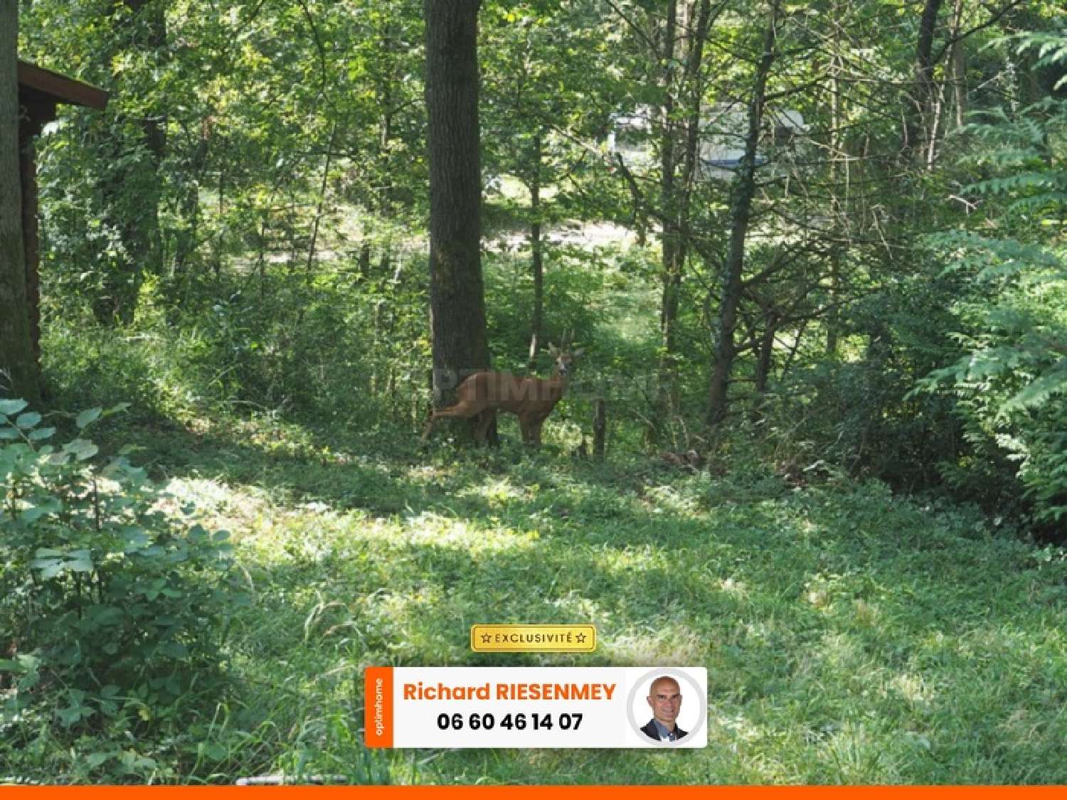  te koop huis Saint-Chéron Essonne 6