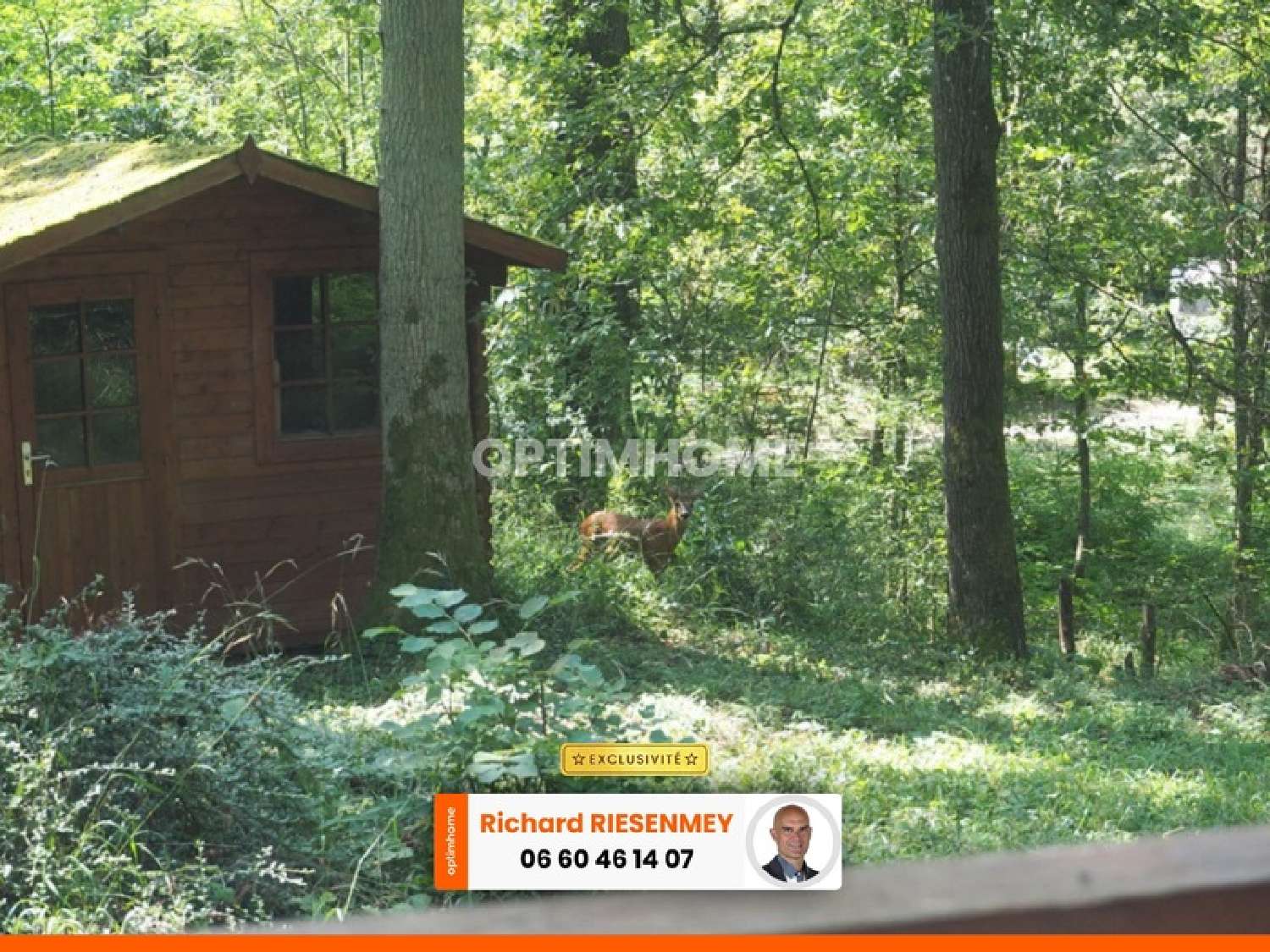  te koop huis Saint-Chéron Essonne 7