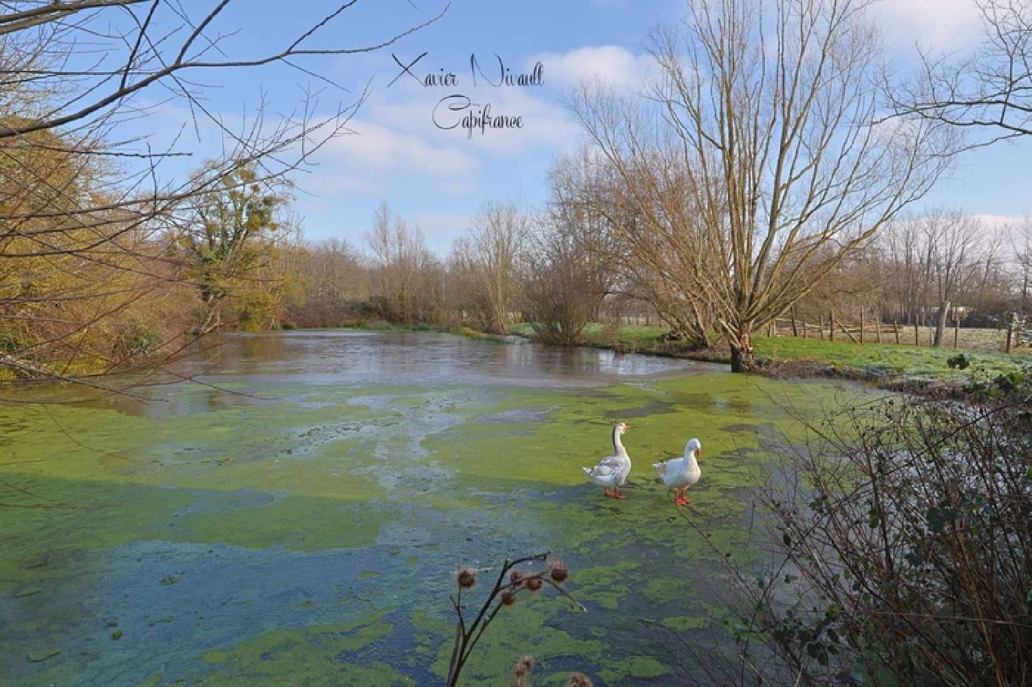 te koop huis Saint-Christophe-en-Bresse Saône-et-Loire 2