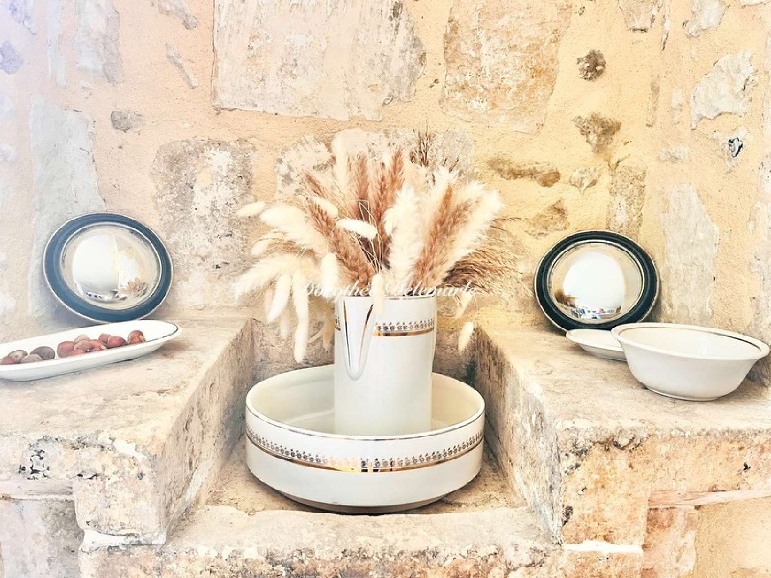  te koop huis Saint-Ciers-du-Taillon Charente-Maritime 8