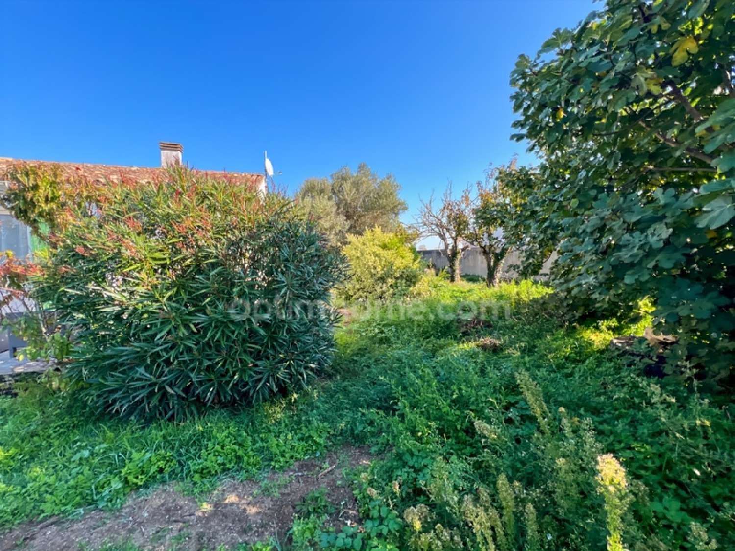  à vendre maison Saint-Clément-des-Baleines Charente-Maritime 2