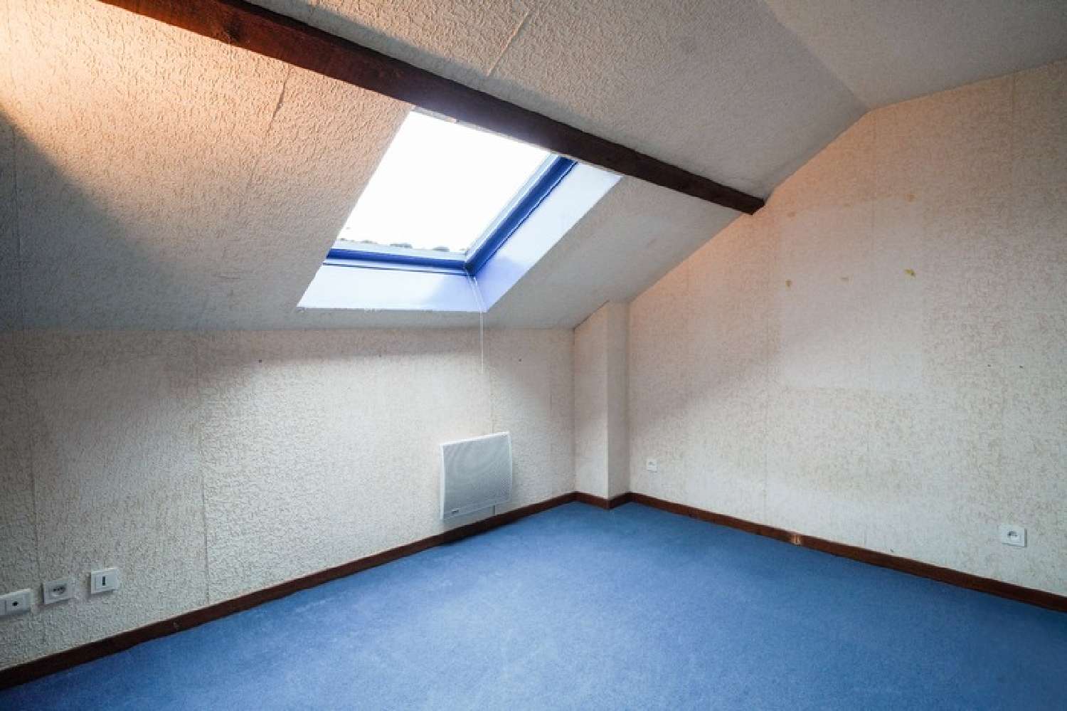  en venta casa Saint-Cyr-sur-Menthon Ain 8