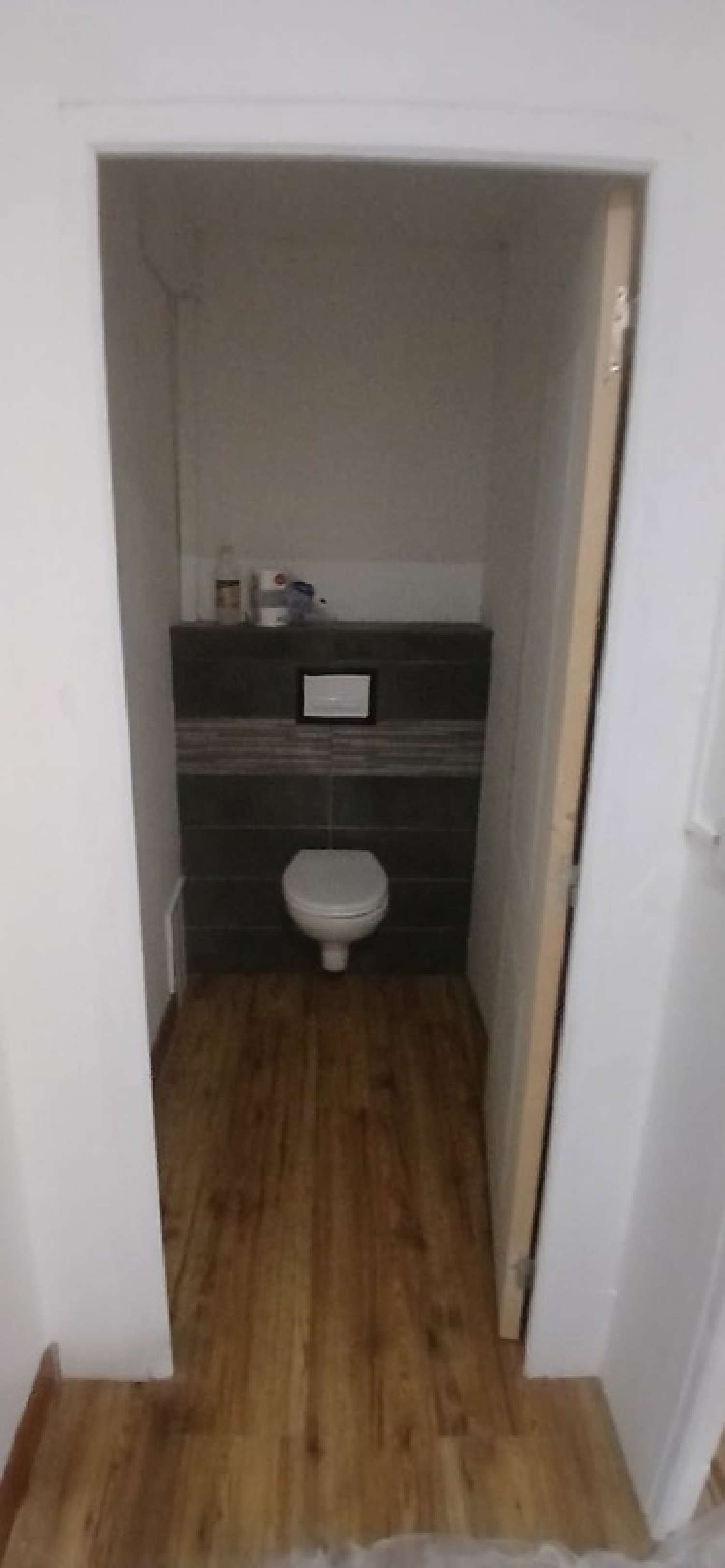  te koop huis Saint-Denis-du-Payré Vendée 3