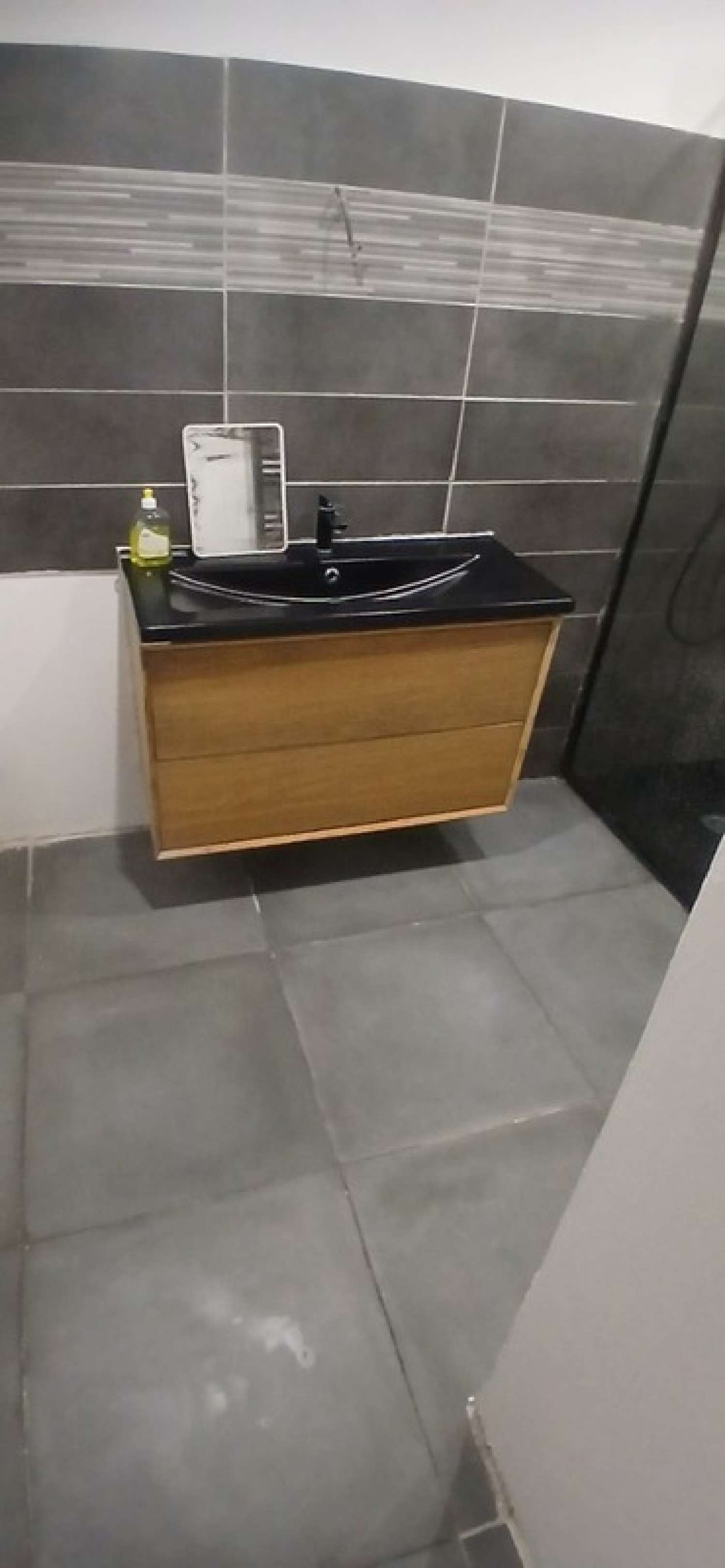  te koop huis Saint-Denis-du-Payré Vendée 5