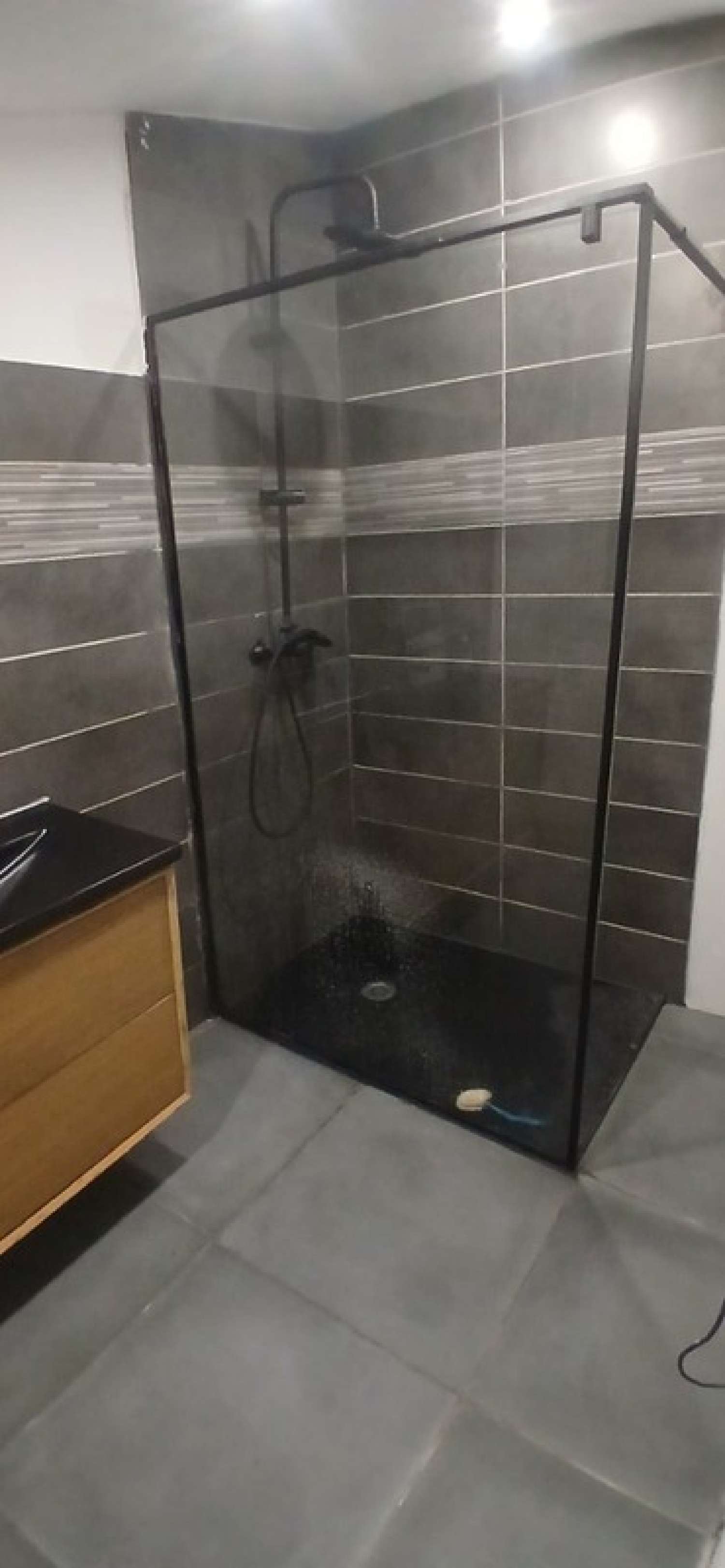  te koop huis Saint-Denis-du-Payré Vendée 6