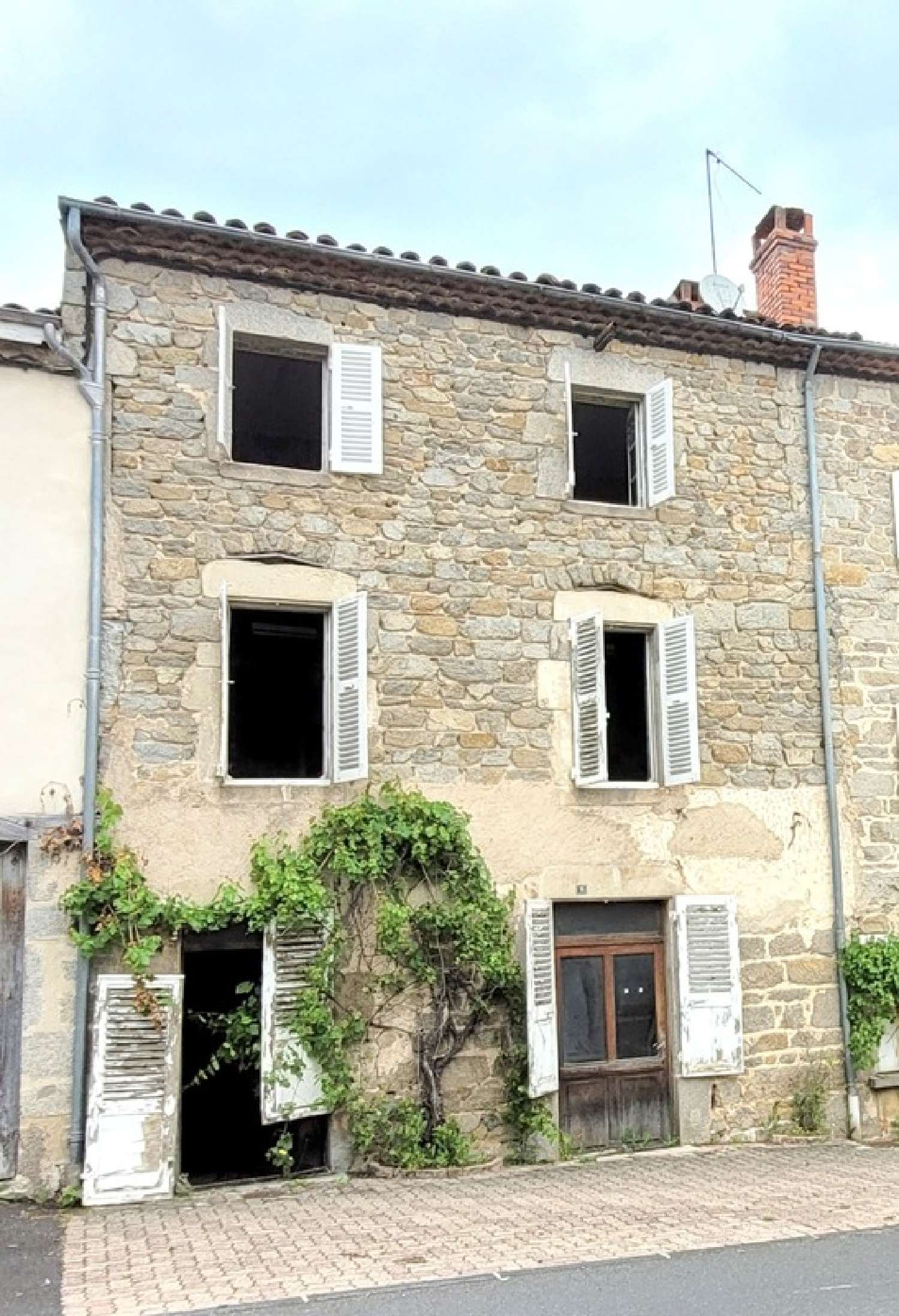  te koop huis Saint-Dier-d'Auvergne Puy-de-Dôme 1
