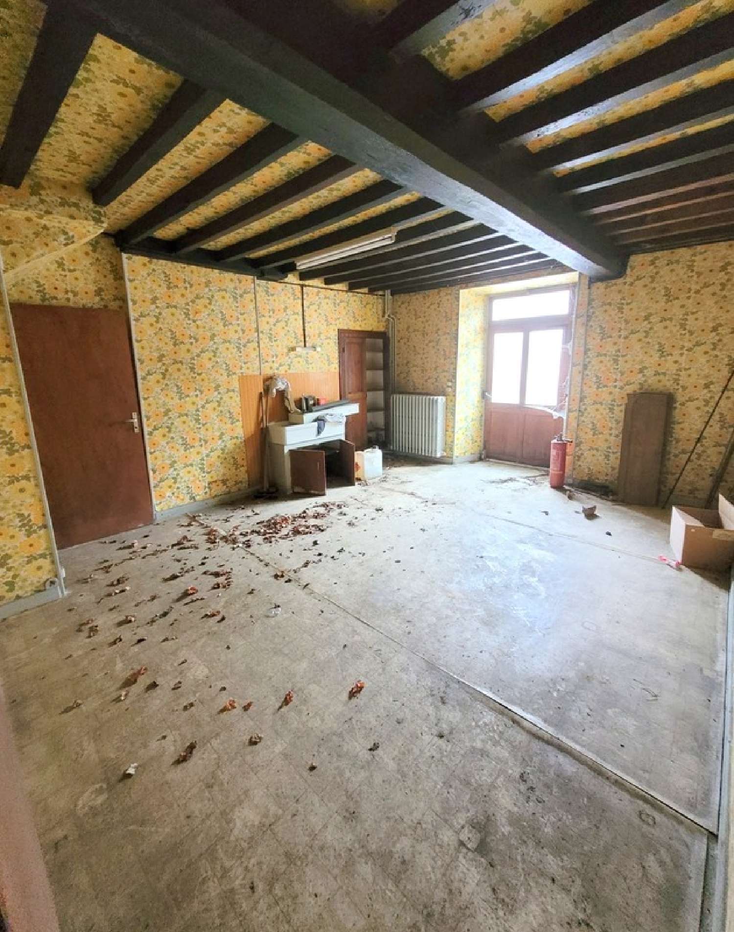  te koop huis Saint-Dier-d'Auvergne Puy-de-Dôme 2