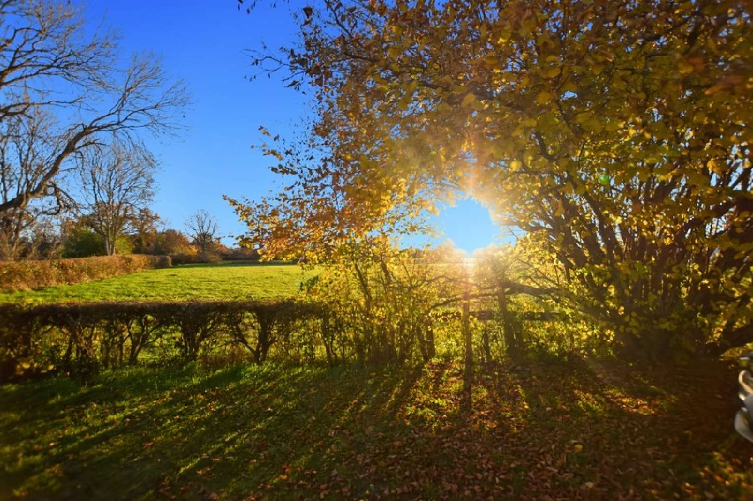  à vendre maison Saint-Émiland Saône-et-Loire 1