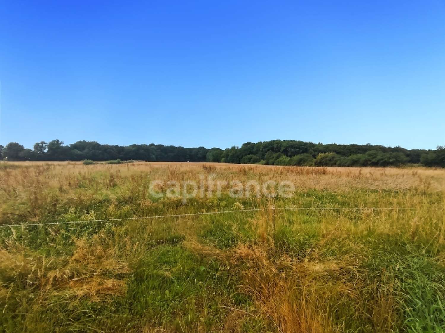 te koop huis Saint-Germain-du-Plain Saône-et-Loire 2