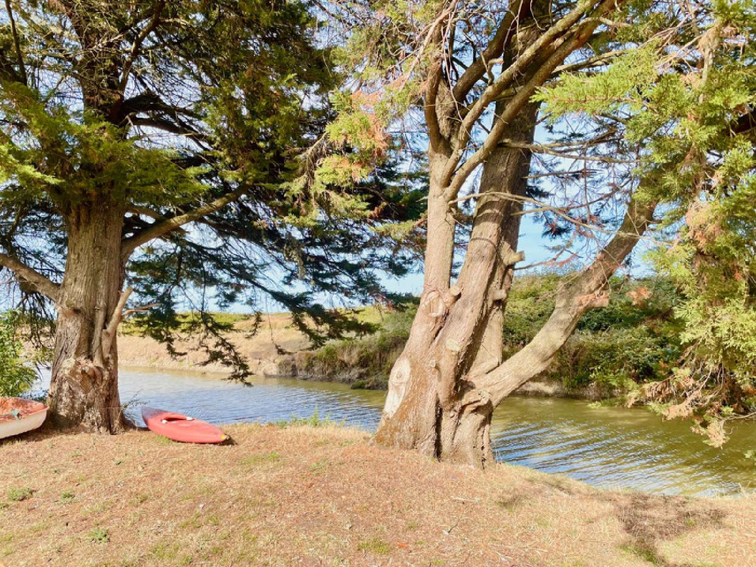  kaufen Haus Saint-Gervais Vendée 4
