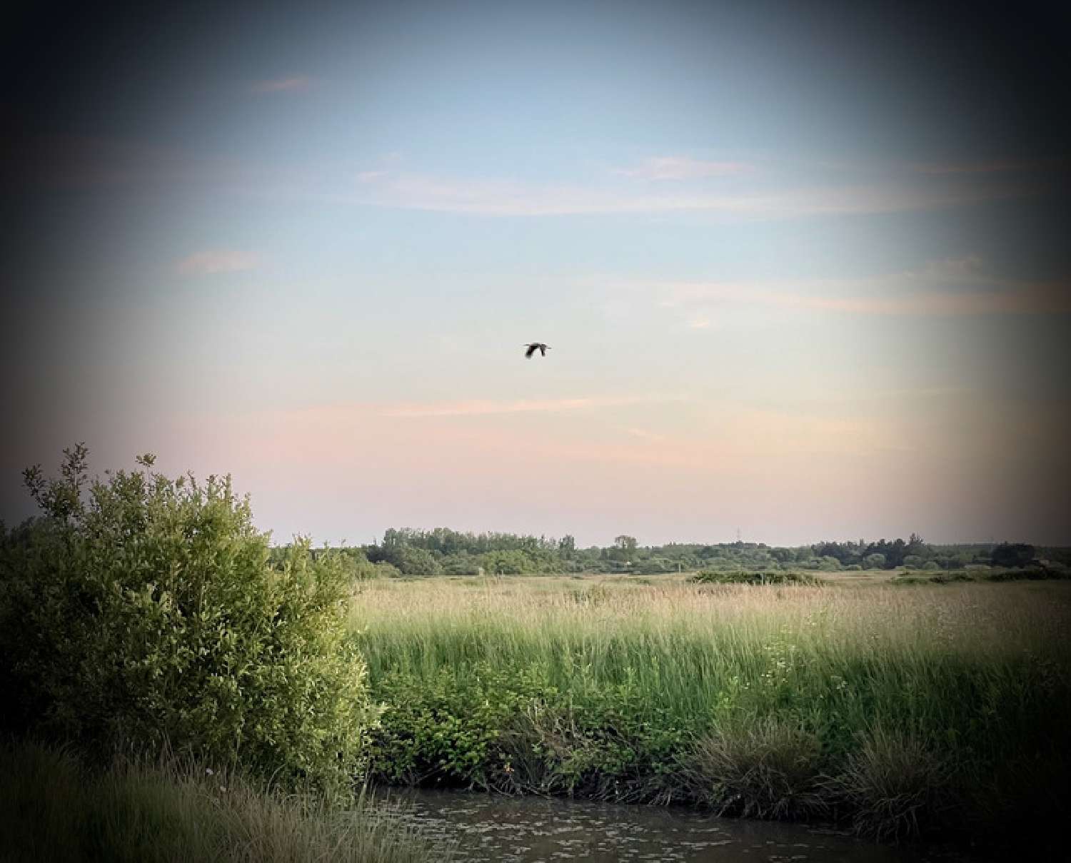  kaufen Haus Saint-Gervais Vendée 5