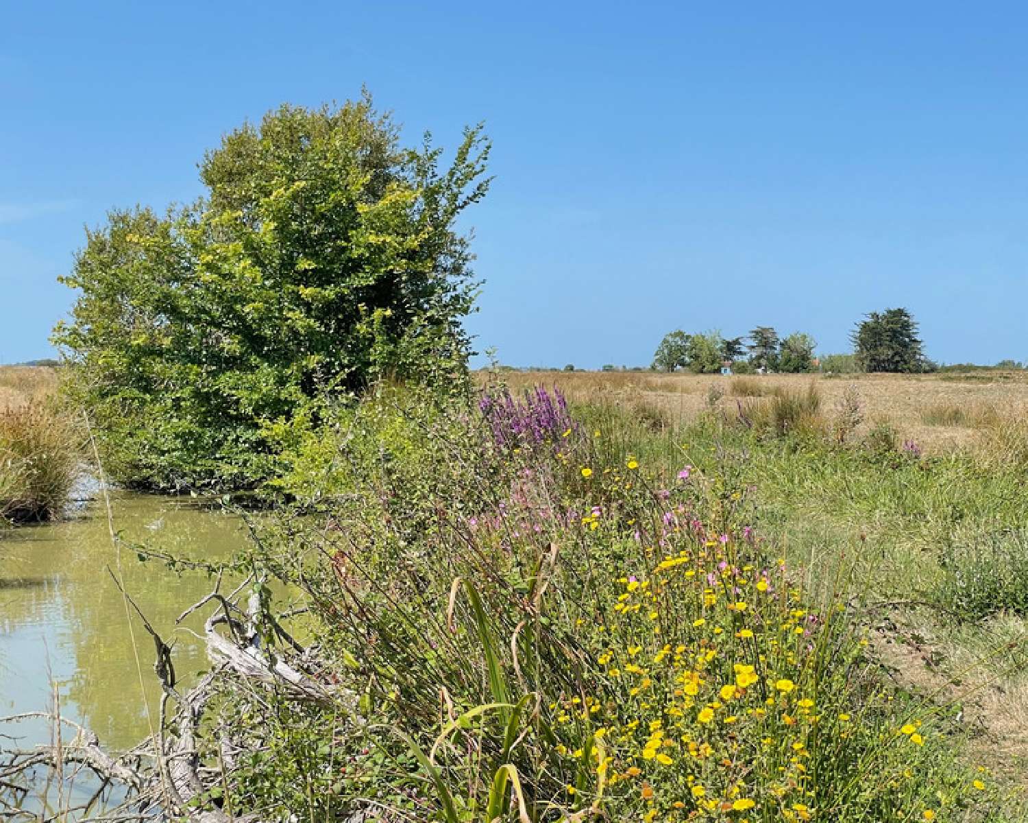  kaufen Haus Saint-Gervais Vendée 6