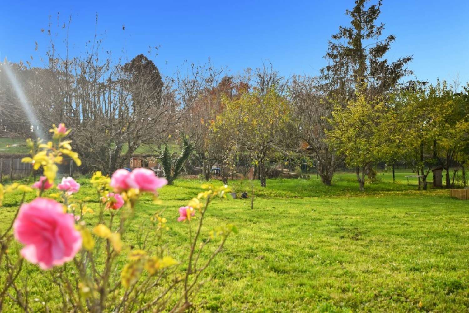 à vendre maison Dracy-lès-Couches Saône-et-Loire 5