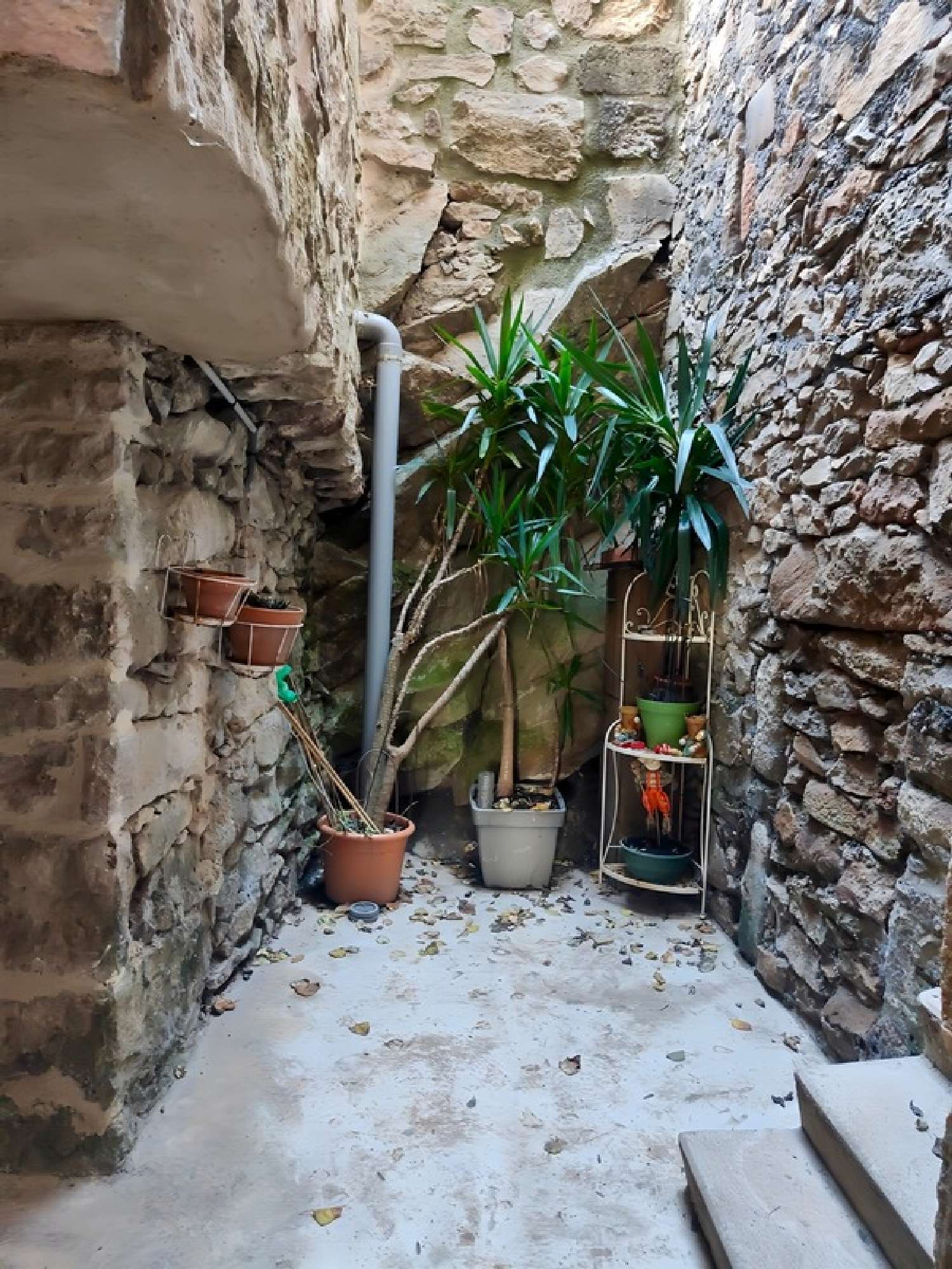  te koop huis Saint-Gervais-sur-Mare Hérault 6