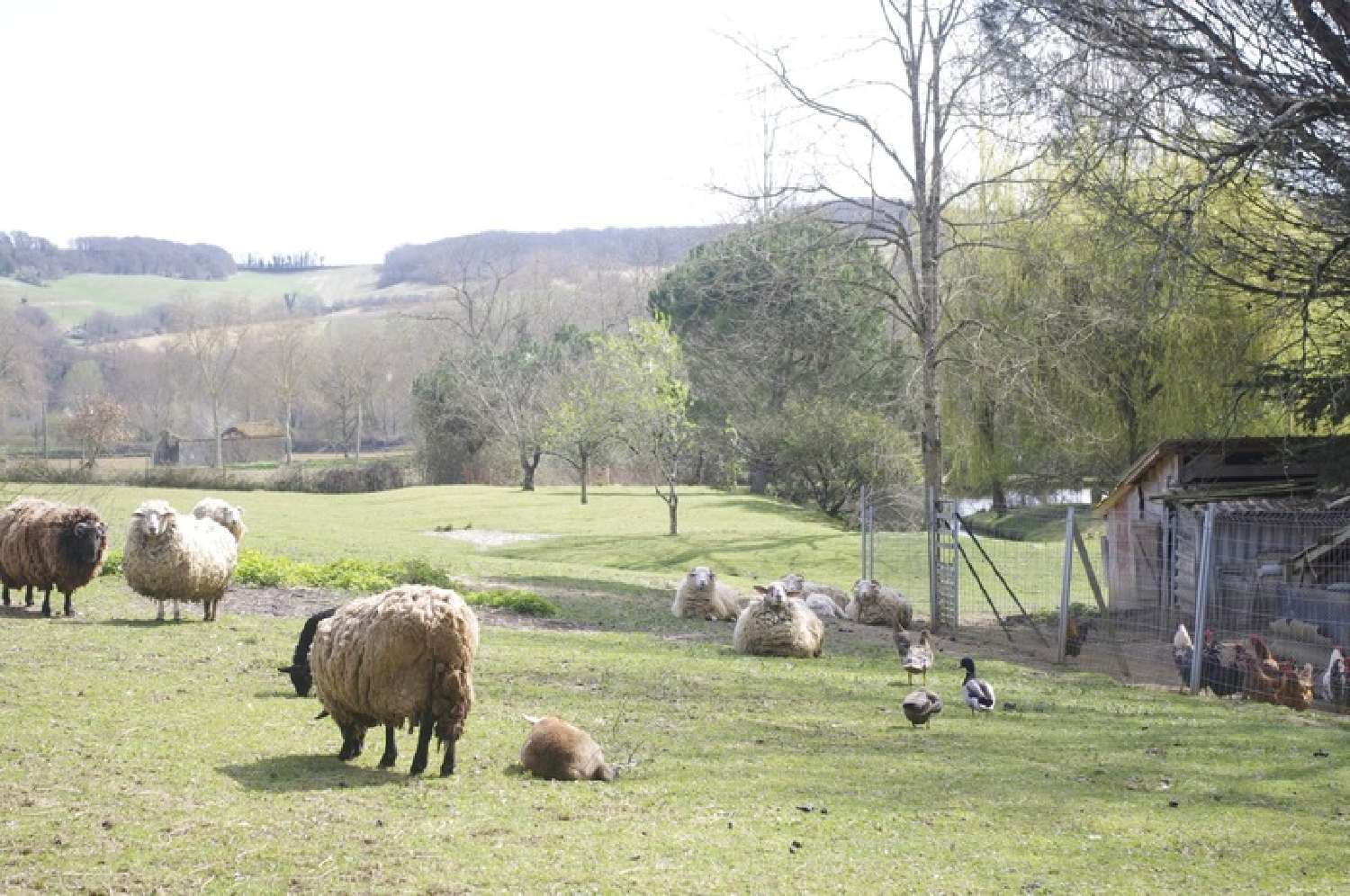 for sale house Saint-Jean-Poutge Gers 3