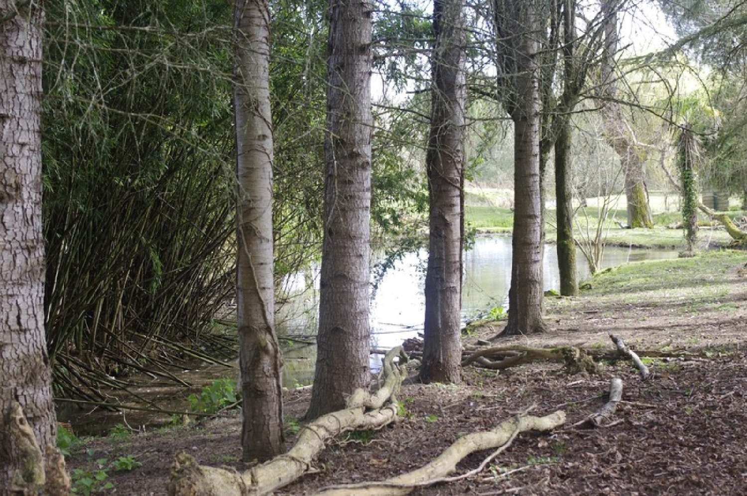 for sale house Saint-Jean-Poutge Gers 5