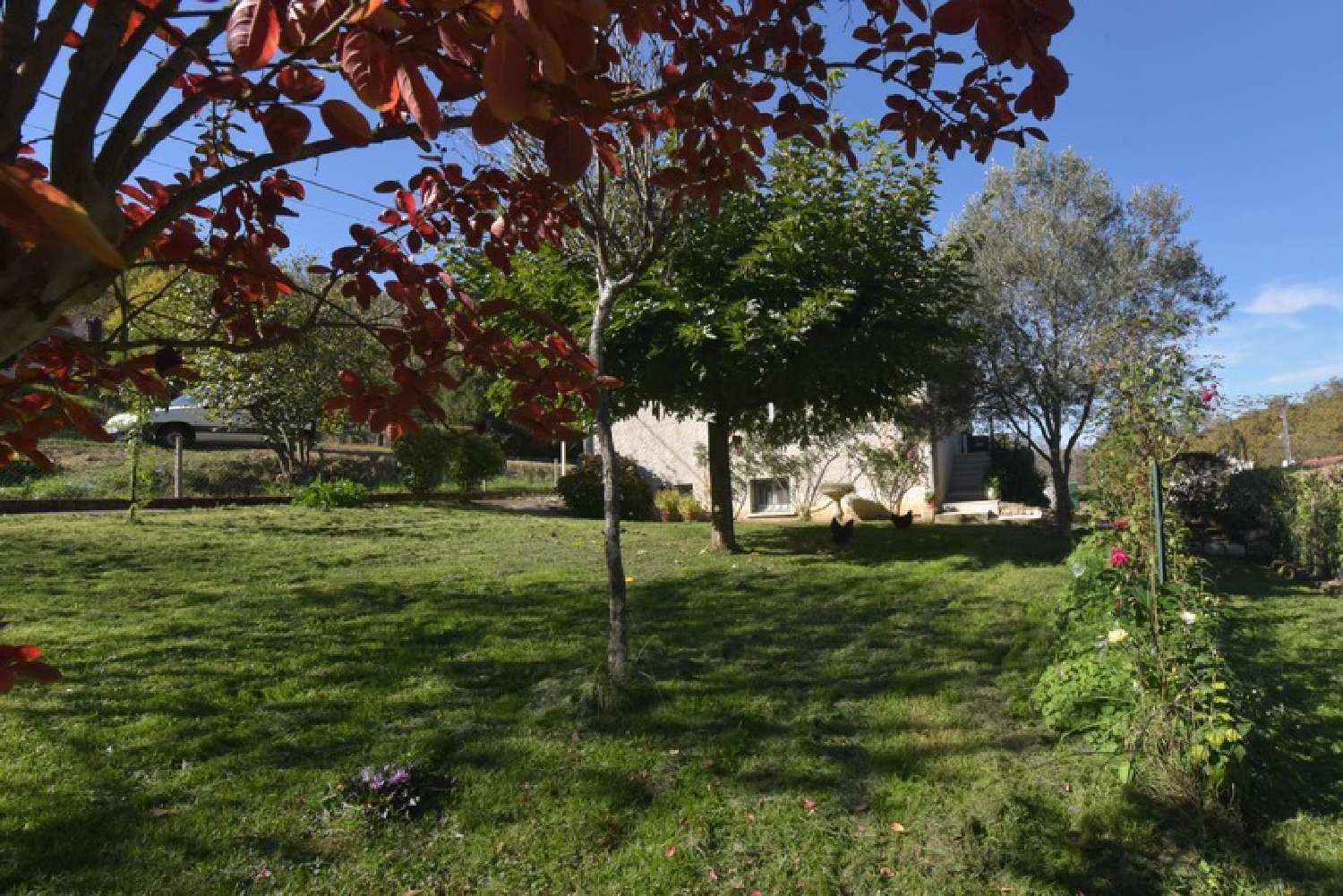 kaufen Haus Saint-Juéry Tarn 2